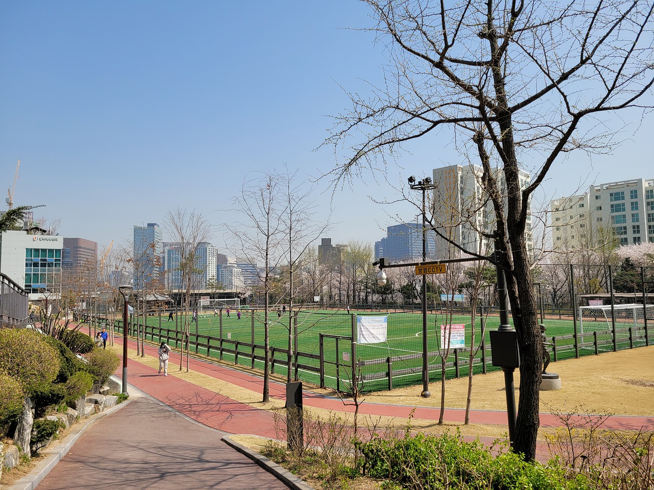 归化计划 归化计划