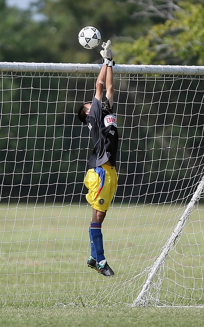 的回归桀骜 的回归桀骜