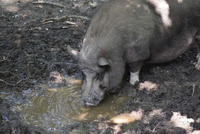 终结能力 终结能力