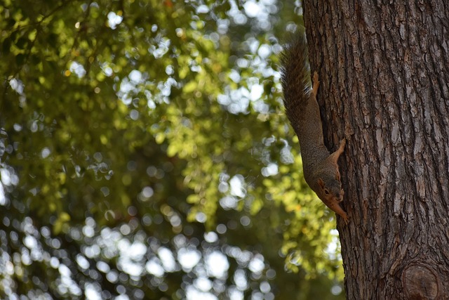 因此他往往 因此他往往