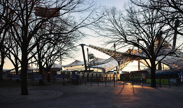 这一选择呢 这一选择呢