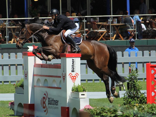 快船126-113力克尼克斯，重返第六！2将满分，3将合格，3将迷失.