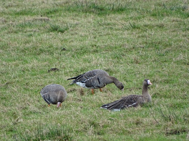 关键传球 关键传球